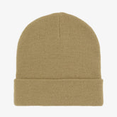 Dickies Gibsland Beanie